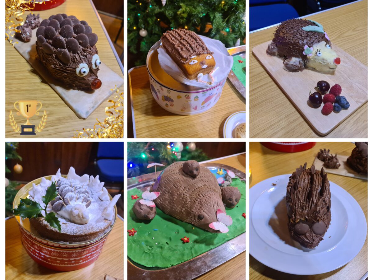 Hedgehog Baking Competition Submissions Collage