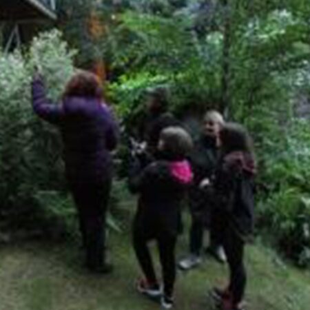 Org image 3